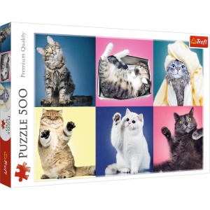 PUZZLE TREFL 500 PISICUTE - Img 1