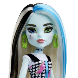 MONSTER HIGH PAPUSA FRANKIE STEIN - Img 4