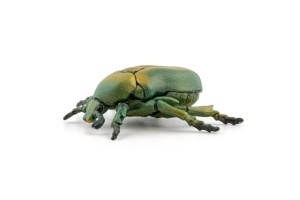 PAPO FIGURINA CARABUS - Img 4