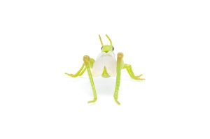 PAPO FIGURINA LACUSTA - Img 2