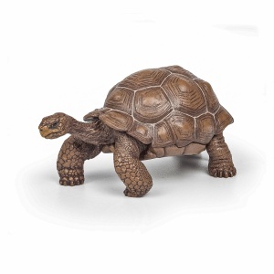 PAPO FIGURINA TESTOASA GALAPAGOS - Img 1