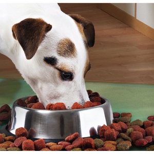 Castron Metalic pentru hranire animale de companie - 29cm - Img 1