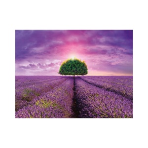 Puzzle 2000 piese, Camp cu lavanda - DINO TOYS - Img 2