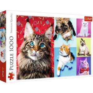 PUZZLE TREFL 1000 PISICUTE FERICITE - Img 1