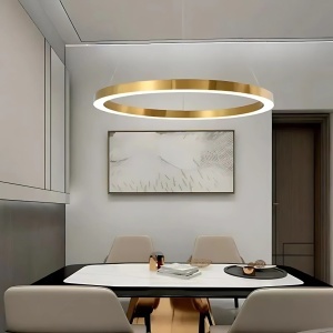 Lustra LED suspendata ANINA 33W, 1 Cerc, lumina Rece/Calda/Neutra, Dimabila, Auriu Lucios Alb, Inaltime Reglabila - Img 3