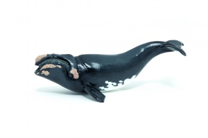 PAPO FIGURINA BALENA - Img 1