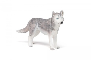 PAPO FIGURINA HUSKY SIBERIAN - Img 3