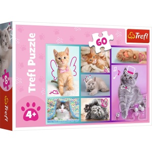 PUZZLE TREFL 60 PISICUTE DRAGUTE - Img 1