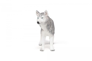 PAPO FIGURINA HUSKY SIBERIAN - Img 4