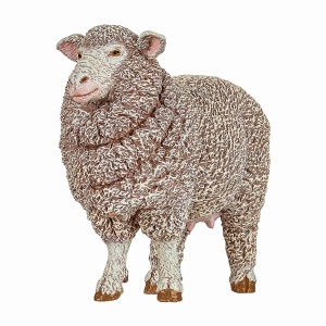 PAPO FIGURINA OAIE MERINOS - Img 2