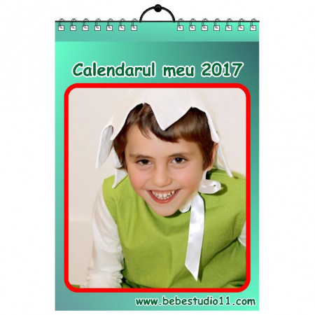 Calendar de perete Silver MOD 41