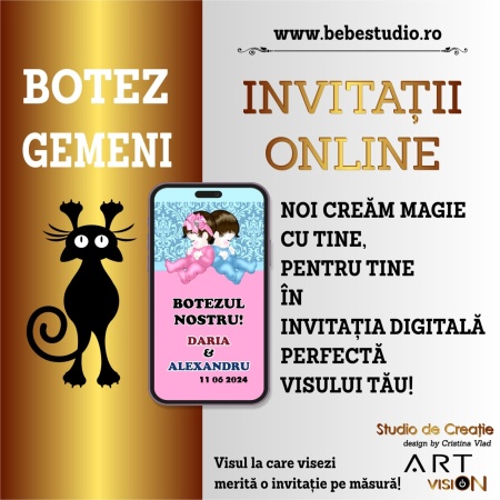 Invitatii Electronice Botez Gemeni - 2 Bebelusi3 - Img 6