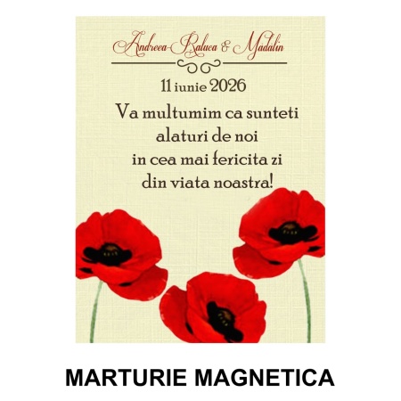 Magnet cu Plic Poveste Maci - Img 2