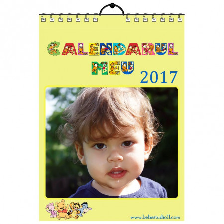 Calendar de perete Silver MOD 16
