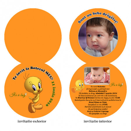 Invitatie Botez Rotunda Dubla Tweety