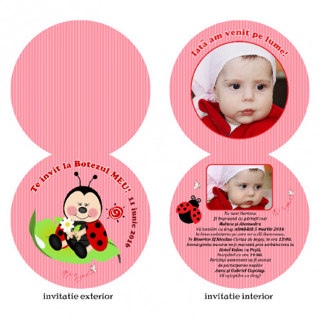 Invitatii Botez Rotunda Dubla Buburuza 1