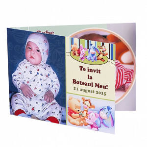 Invitatie Botez Dubla Winnie the Pooh si Prietenii