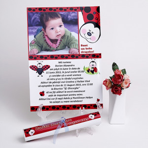Invitatie Botez Papirus Buburuz 2 - Img 2