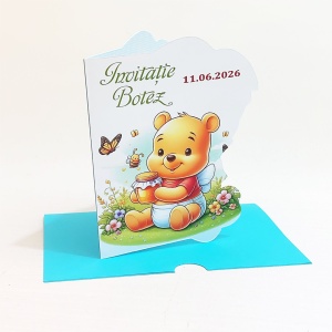 Invitatii Botez Contur Winnie 13