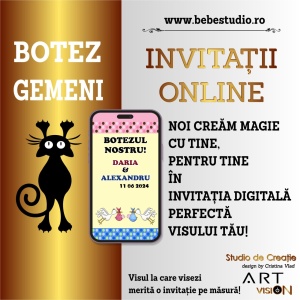 Invitatii Electronice Botez Gemeni - 2 Bebelusi - Img 6