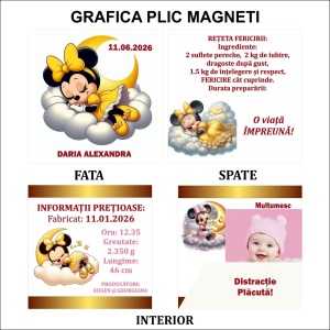 Magnet cu Plic Poveste 18