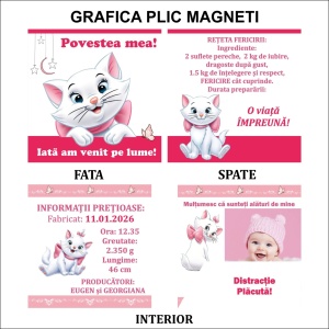 Magnet cu Plic Poveste 1 - Img 7