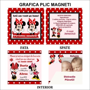 Magnet cu Plic Poveste G12