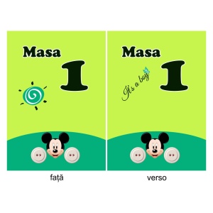 Nr de Masa Botez Mickey Mouse 9