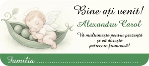 Plic de Bani Botez Bebe Pastaie