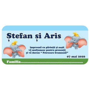 Plic de Bani Botez Gemeni BB36