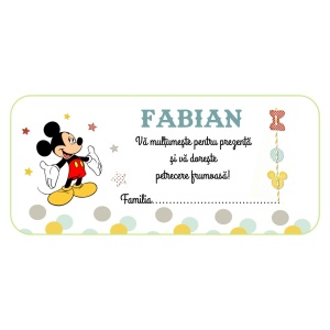 Plic de Bani Botez Mickey Mouse 7