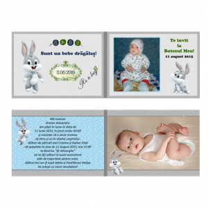 Invitatie Botez Dubla Baby Bugs Bunny - Img 4