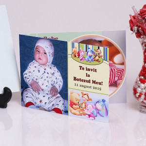 Invitatie Botez Dubla Winnie the Pooh si Prietenii - Img 2