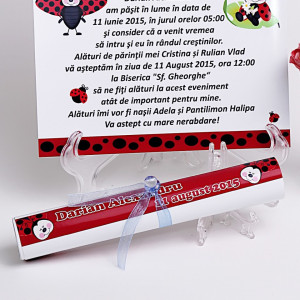 Invitatie Botez Papirus Buburuz 2 - Img 3