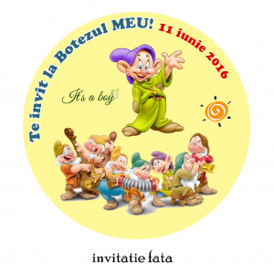 Invitatie Botez Rotunda Pitici
