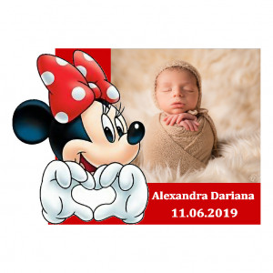 Magnet Contur Minnie Mouse 29