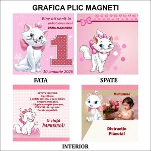Magnet cu Plic Poveste MOT F4