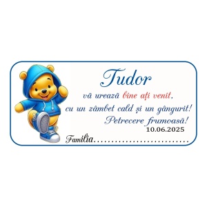 Plic de bani Botez Winnie The Pooh 12