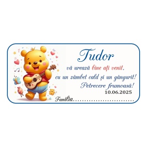 Plic de bani Botez Winnie The Pooh 7