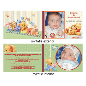 Invitatie Botez Dubla Winnie The Pooh - Img 3