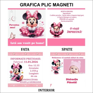 Magnet cu Plic Poveste 23 - Img 6