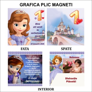 Magnet cu Plic Poveste MOT F6