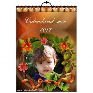 Calendar de perete MOD 32