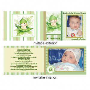 Invitatie Botez Dubla Bebe Frunza