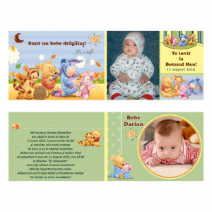 Invitatie Botez Dubla Winnie the Pooh si Prietenii - Img 4
