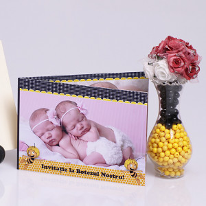 Invitatie Gemeni Dubla 2-Maya Albinuta - Img 2