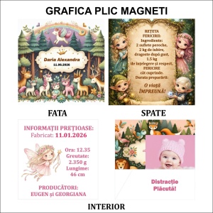 Magnet cu Plic Poveste 12