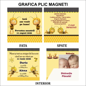 Magnet cu Plic Poveste G16