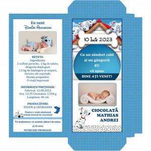 Marturii Botez Cutie de Ciocolata Dalmatian B5