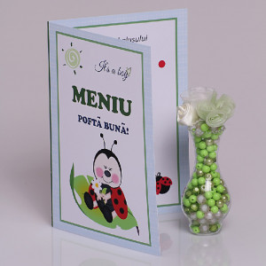 Meniu Botez Simplu Buburuza 1